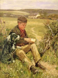 Metgezellen